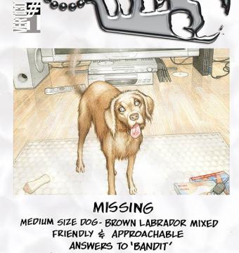 WE3 - An Indie masterpiece, review by Binary's Books!