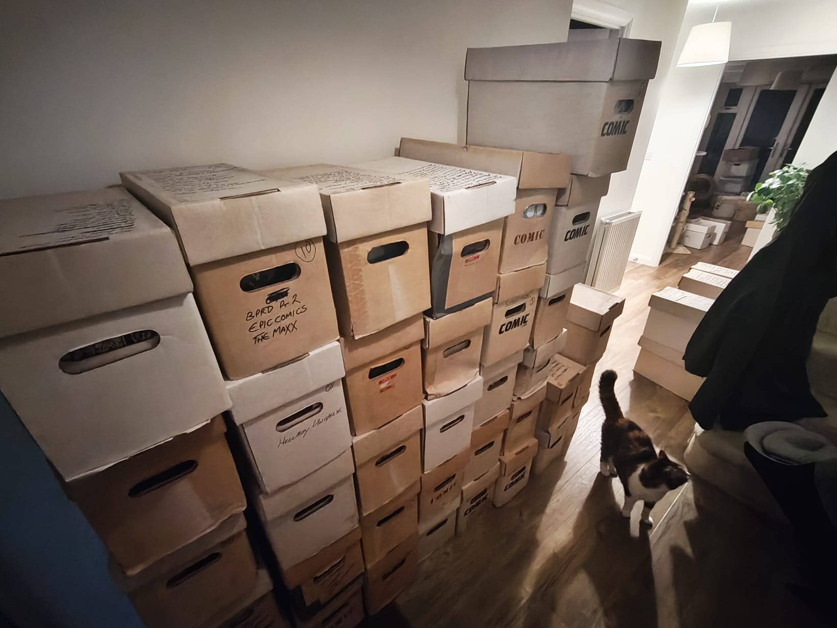 placeholder blog image