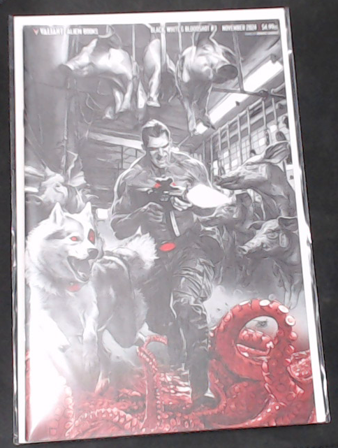 Black, White & Bloodshot #3 (2024) - Virgin Variant High