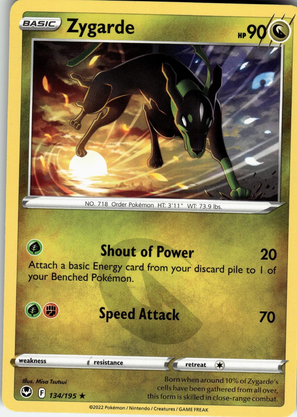 Zygarde Rare Silver Tempest 134/195 NM